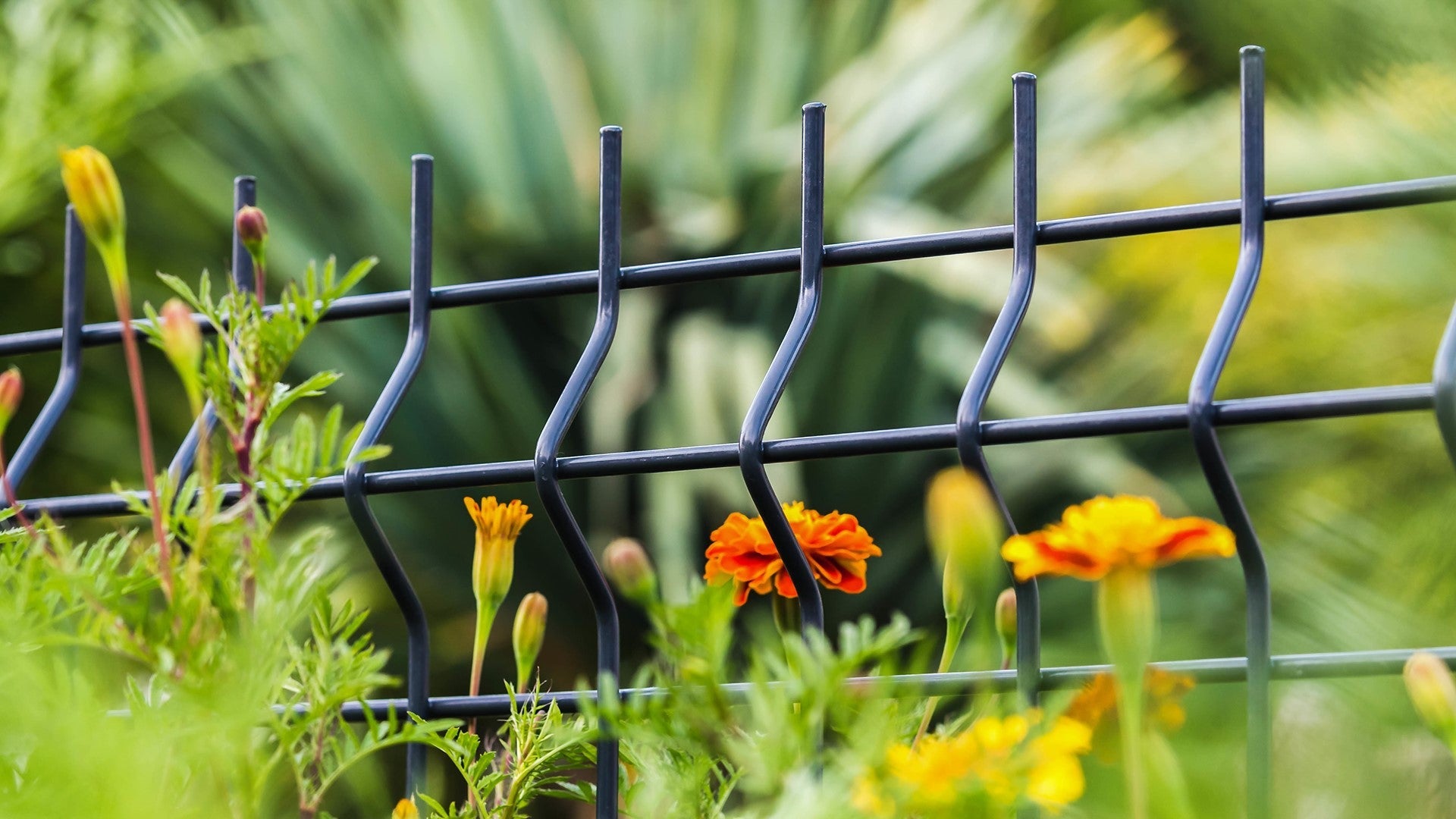  5 Compelling Reasons to Buy Your Fence Online